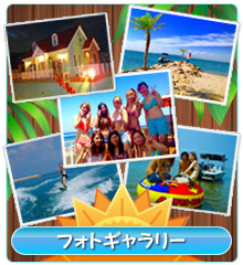 フォトギャラリー